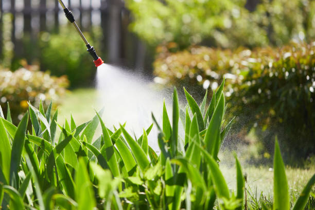 24/7 Emergency Wasp Removal experts in Chesaning, MI