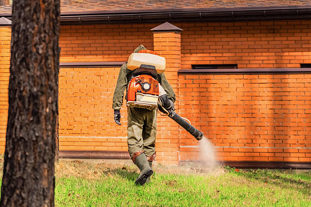 Top rated local Wasp Removal specialists in Chesaning, MI
